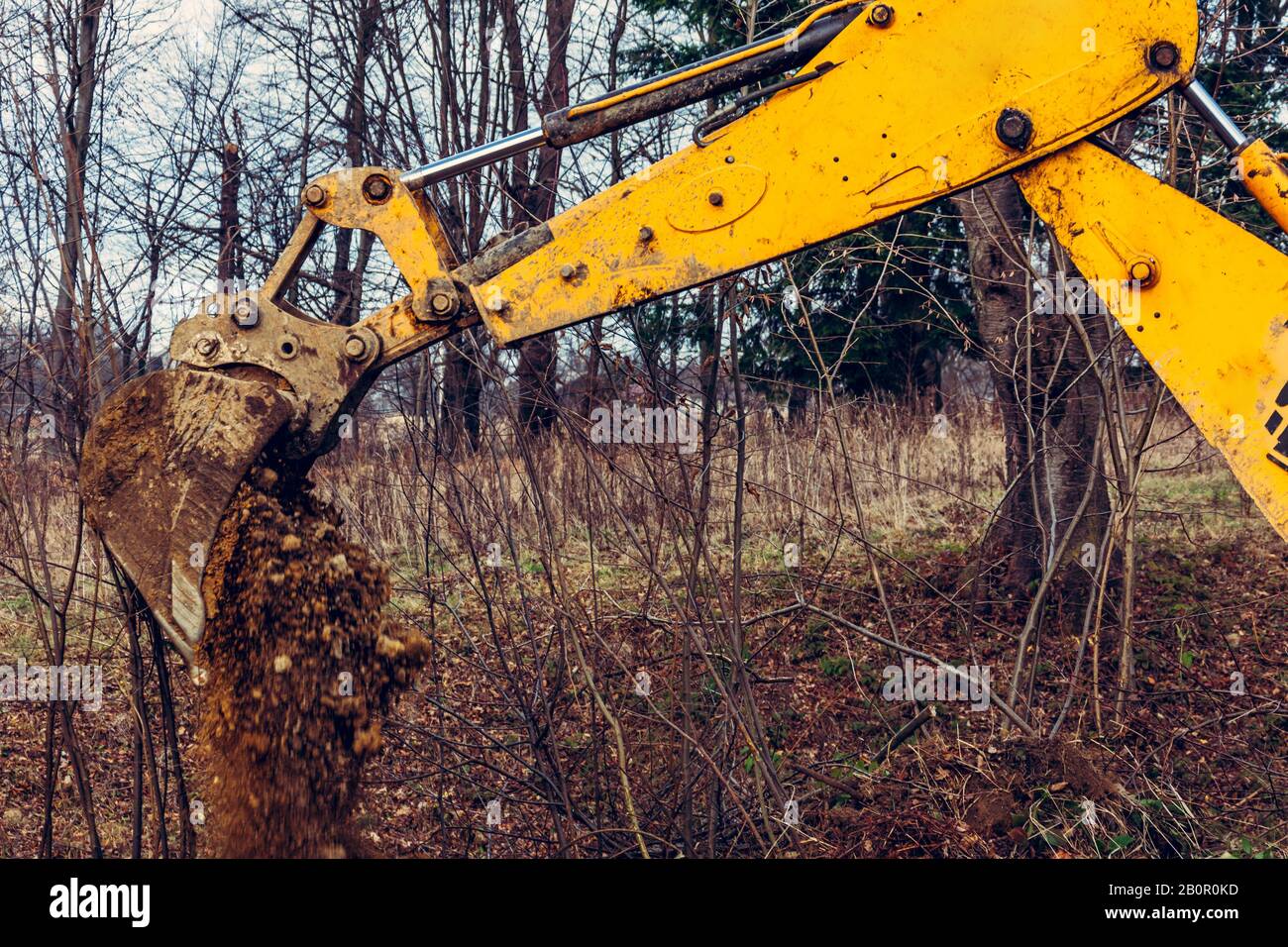 L'escavatore scava terra nella foresta e sradica le radici degli alberi. Foto Stock