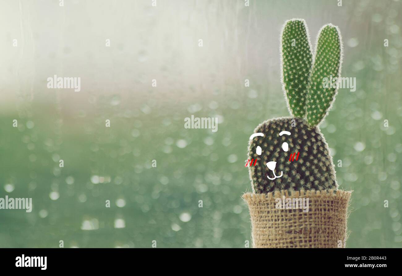 cactus con cute faccia cartone animato in una giornata piovosa con goccia d'acqua sullo sfondo della finestra. gocce di pioggia sullo sfondo vetro della finestra. Foto Stock