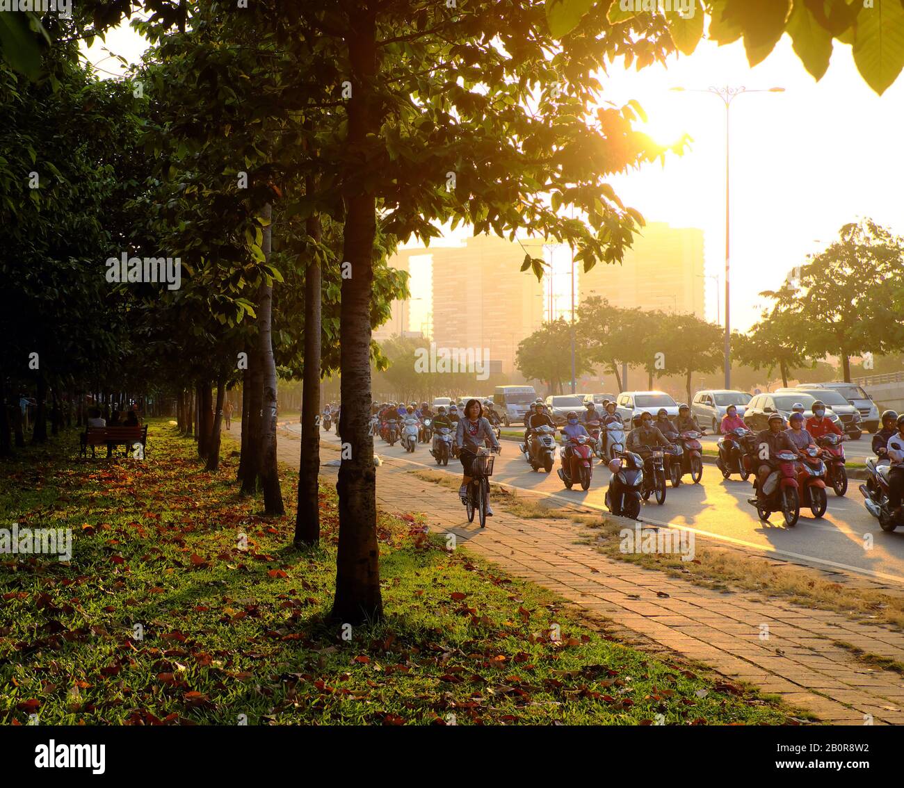 HO chi MINH CITTÀ, VIET NAM, splendida scena al mattino presto nel parco, con foglie da caduta di alberi su campo di erba, persone che si spostano sulla strada alla luce del sole Foto Stock