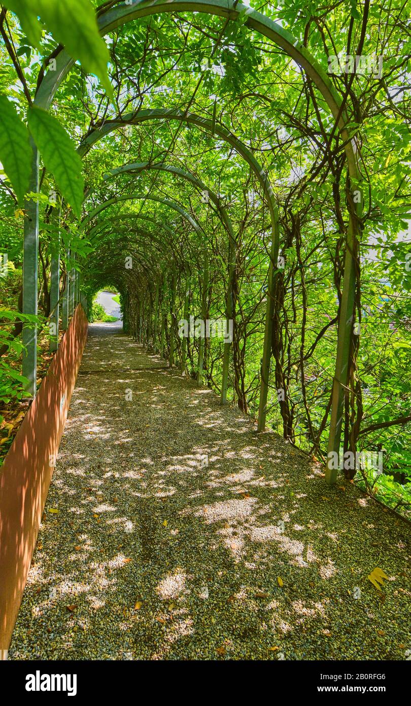 Nel parco in una guerra, giorno d'autunno Foto Stock