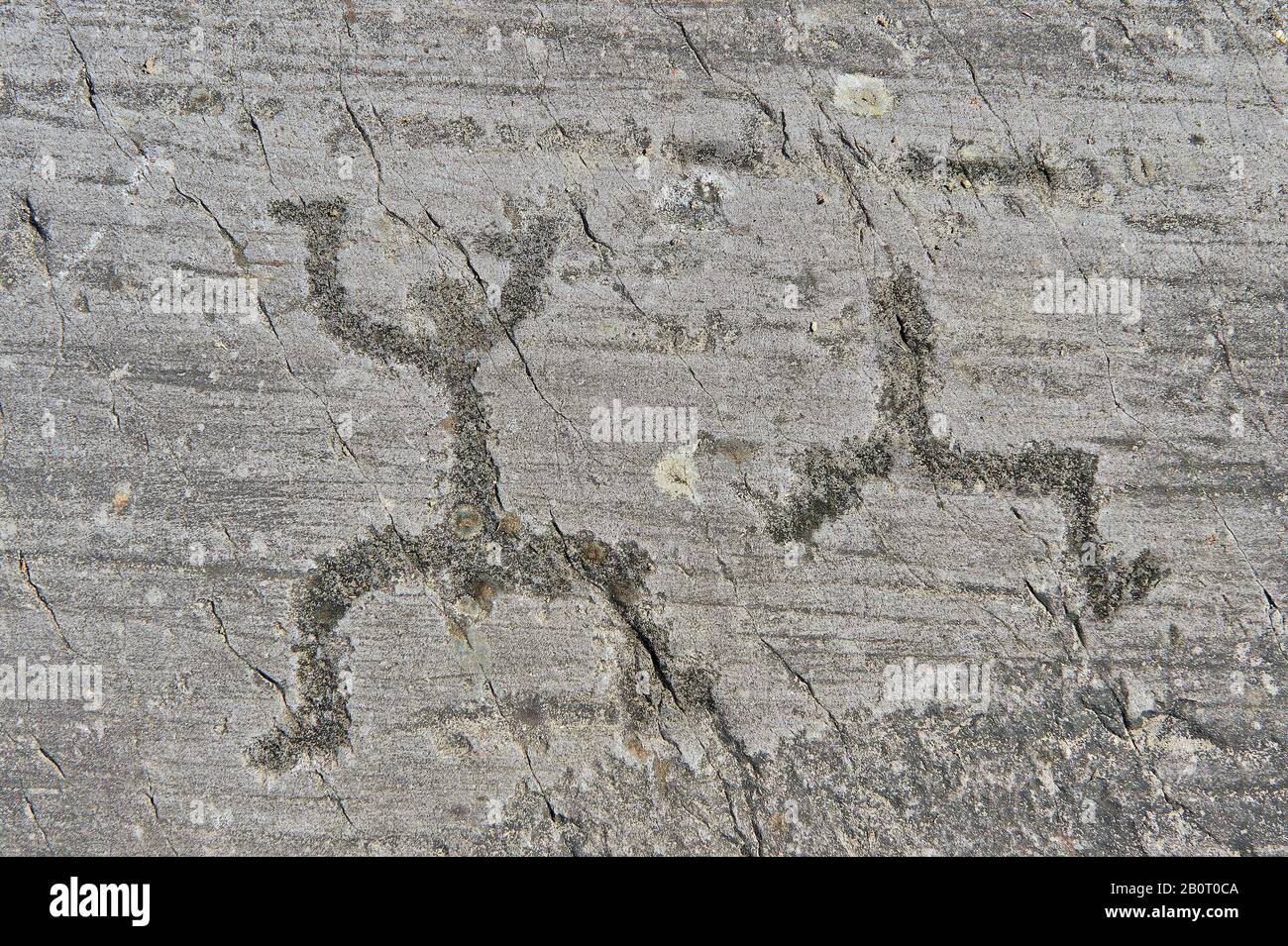 Petroglyph, scultura in roccia, di figure schematiche in una posizione detta "preghiera". Scolpito dagli antichi Camuni nell'età del ferro tra 1000-1200 Foto Stock