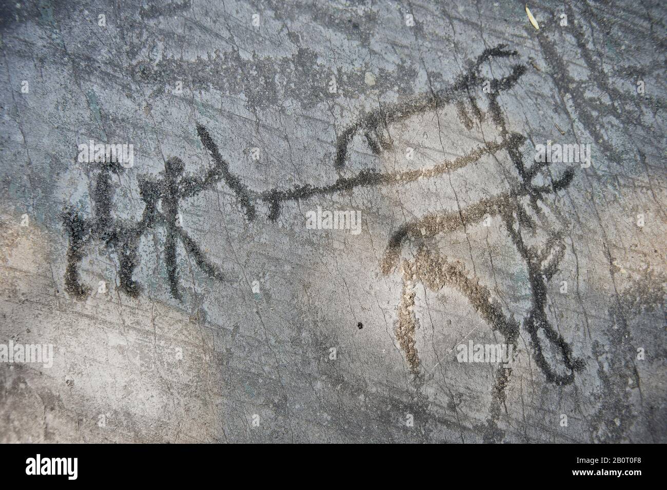 Petroglyph, scultura schematica in roccia, di un aratro che arava usando 2 animali e figure schematiche che trattengono un aratro verticale che si curva in avanti alla b Foto Stock