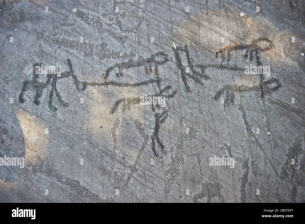 Petroglyph, scultura schematica in roccia, di due aratri che arano utilizzando 2 animali e figure schematiche che detengono un aratro verticale che si curva in avanti al Th Foto Stock