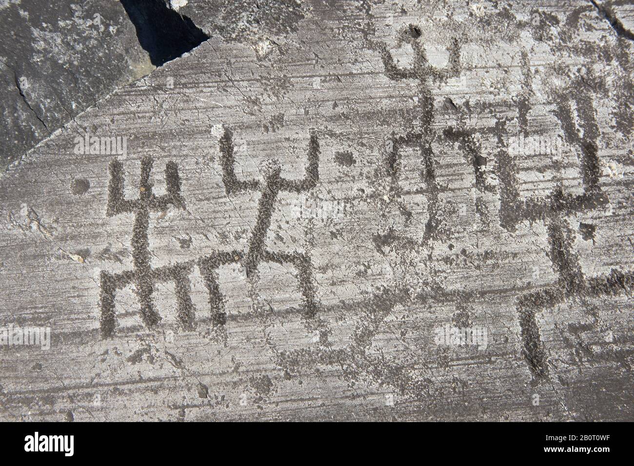 Petroglyph, scultura in roccia, di un gruppo di figure umane nematiche nella cosiddetta posizione di preghiera. Scolpito dagli antichi Camuni nel Cop Late Foto Stock