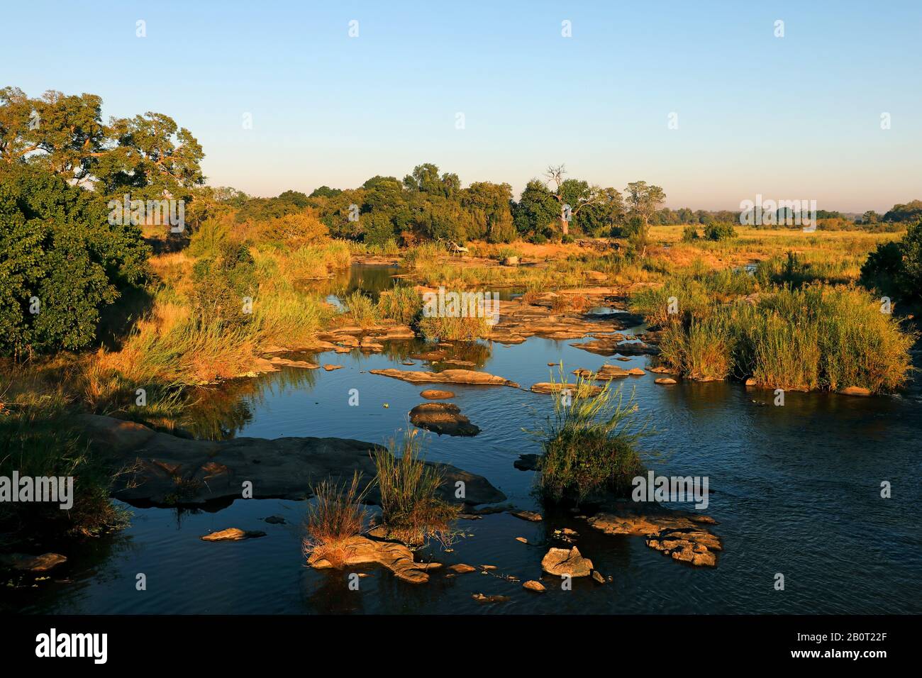 Fiume Sabie, Sud Africa, Lowveld, Parco Nazionale Krueger, Skukuza Foto Stock