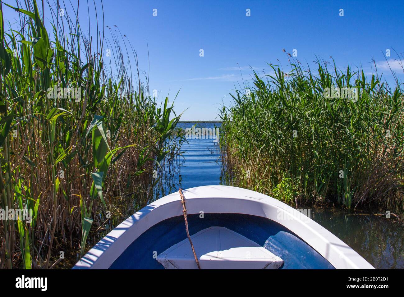 Escursione in barca sul delta del Danubio, Romania, Delta del Danubio Foto Stock