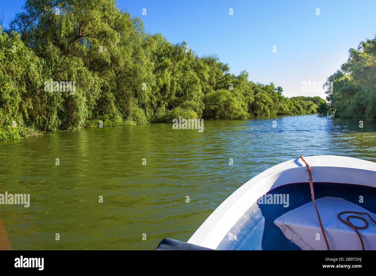 Escursione in barca sul delta del Danubio, Romania, Delta del Danubio Foto Stock