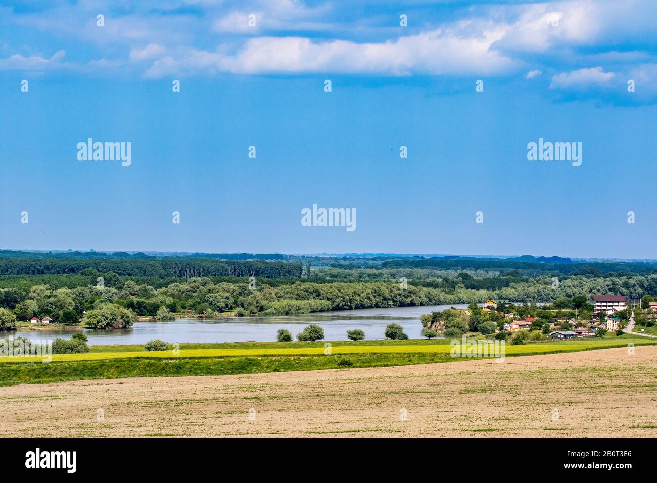 Delta del Danubio vicino a Victoria, Romania Foto Stock