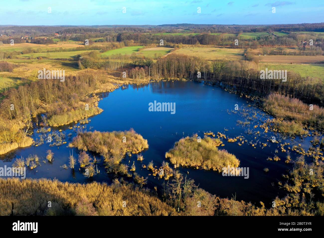 Moor stagno di Panten, riserva naturale Pantener Moorweiher, vista aerea, Germania, Schleswig-Holstein Foto Stock
