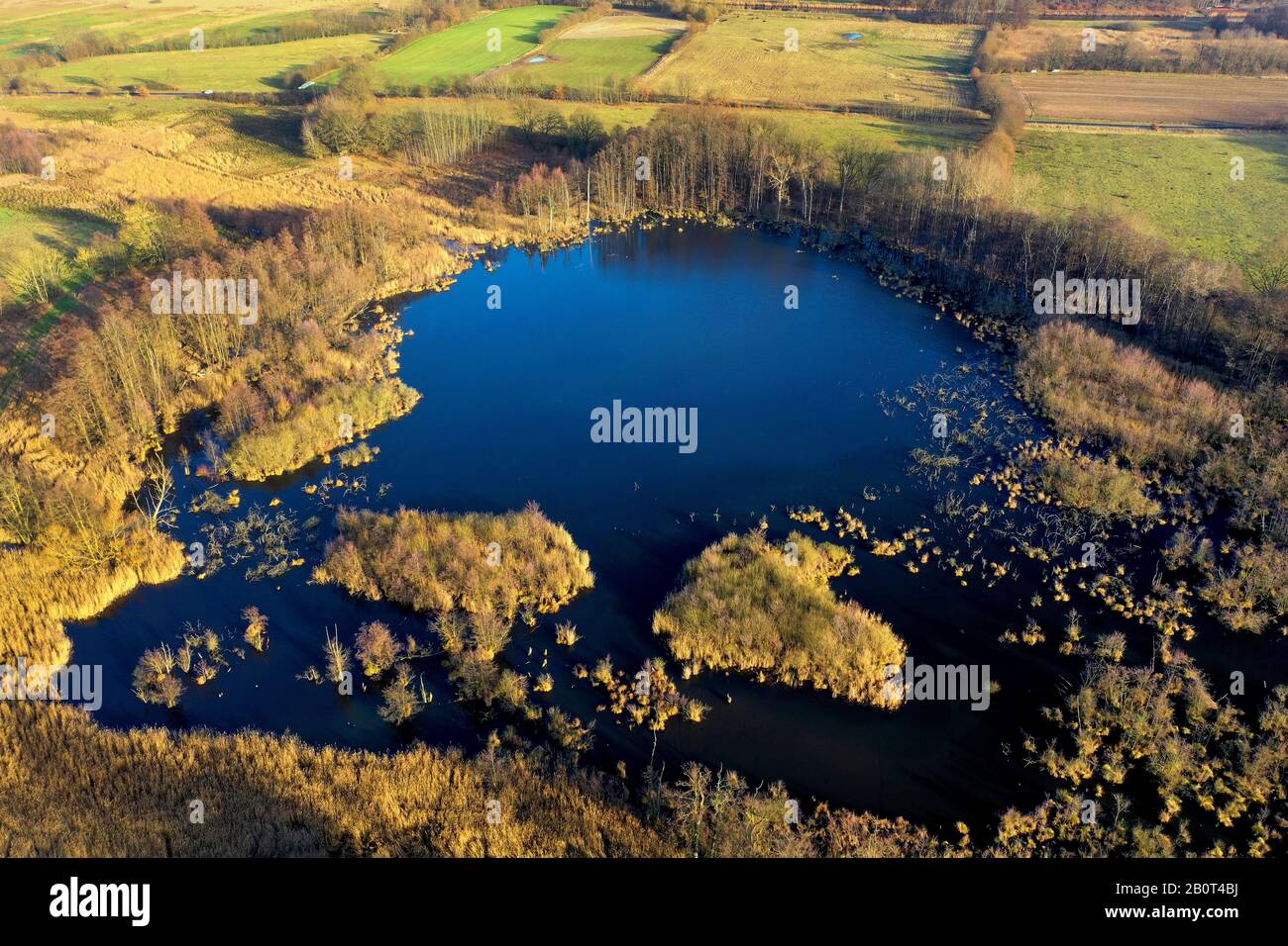 Moor stagno di Panten, riserva naturale Pantener Moorweiher, vista aerea, Germania, Schleswig-Holstein Foto Stock