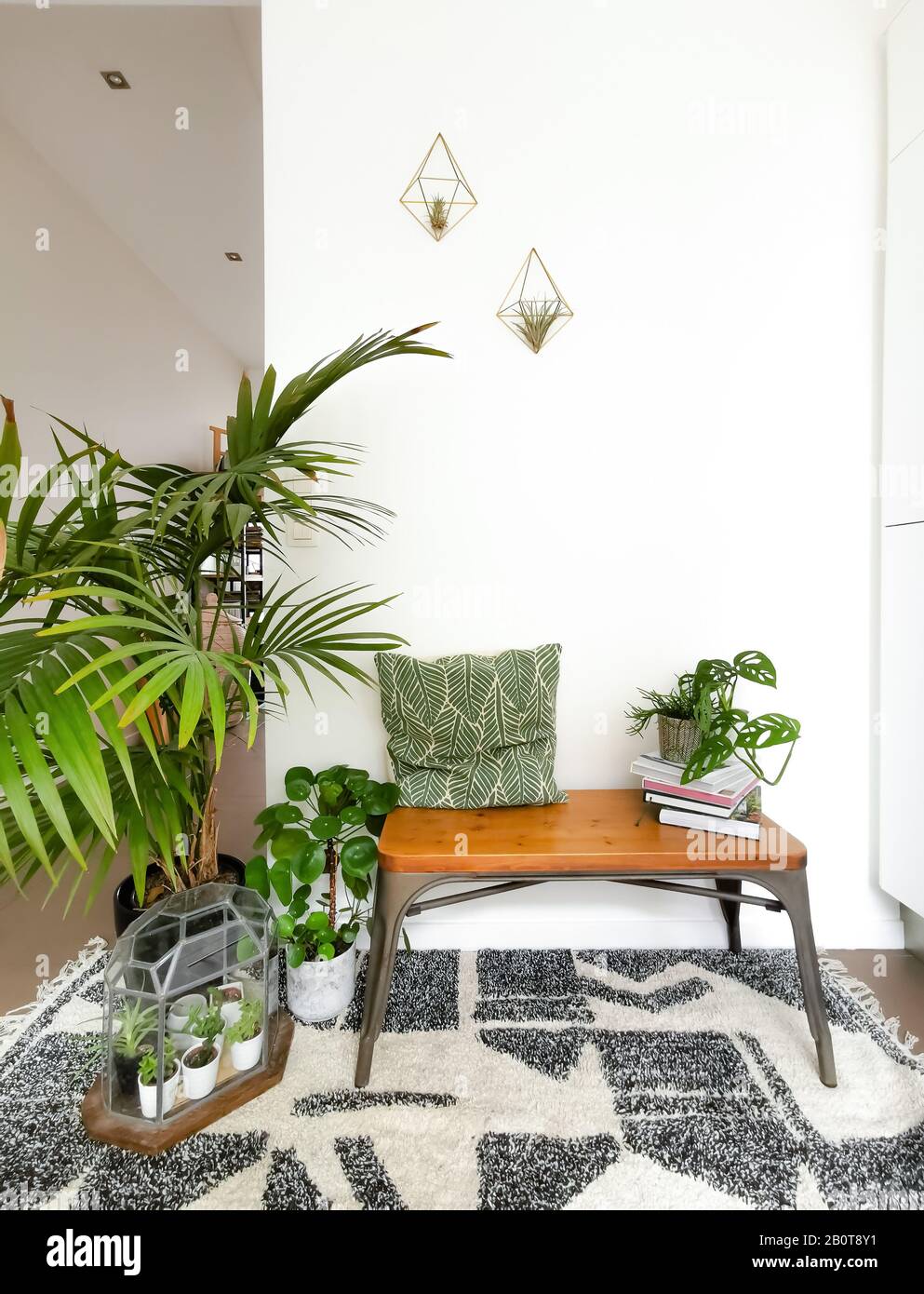 Piccolo corridoio d'ingresso dal design scandinavo con molta luce naturale e numerose piante verdi. Foto Stock