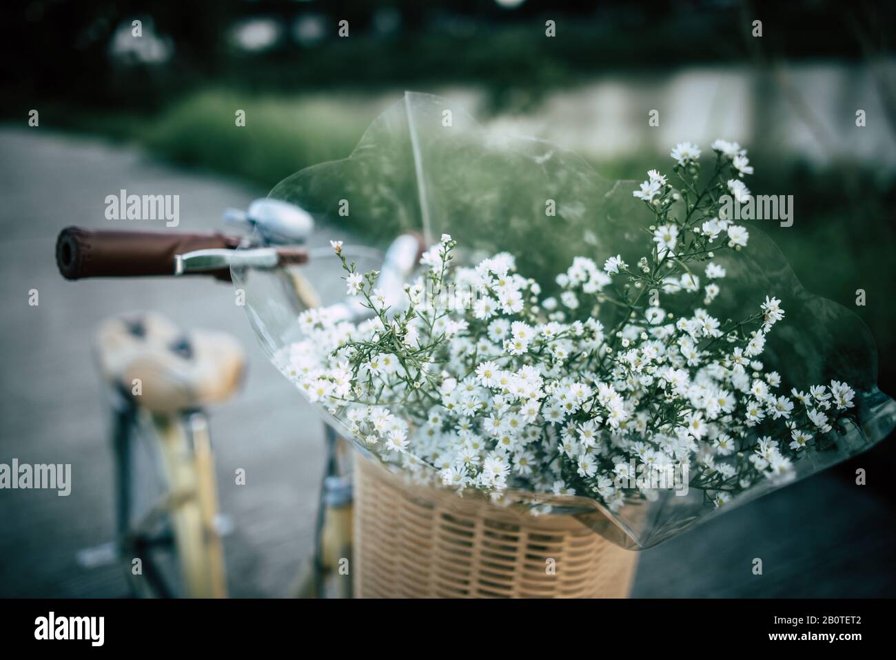 Bicicletta d'epoca con cesto e fiori alla pari Foto Stock