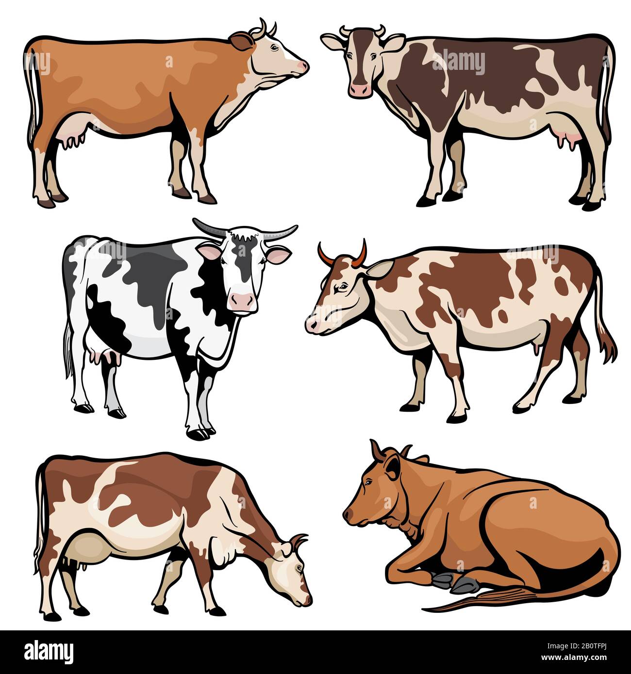 Mucche da fattoria, bestiame da latte in stile cartone animato vettore. Cartone animato di fattoria animale, illustrazione di allevamento di bestiame Illustrazione Vettoriale