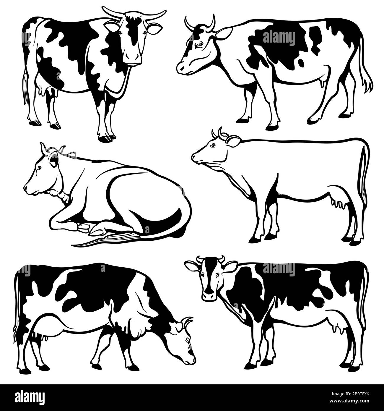 Set di vettori di mucche in bianco e nero. Immagine della mucca da fattoria, silhouette nera del bestiame Illustrazione Vettoriale