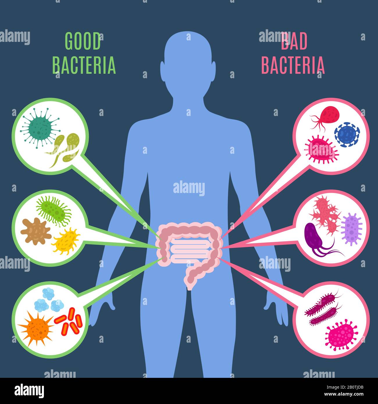 Flora intestinale salute vettore concetto con batteri e probiotici icone. Flora umana buona e cattiva illustrazione dei microrganismi Illustrazione Vettoriale
