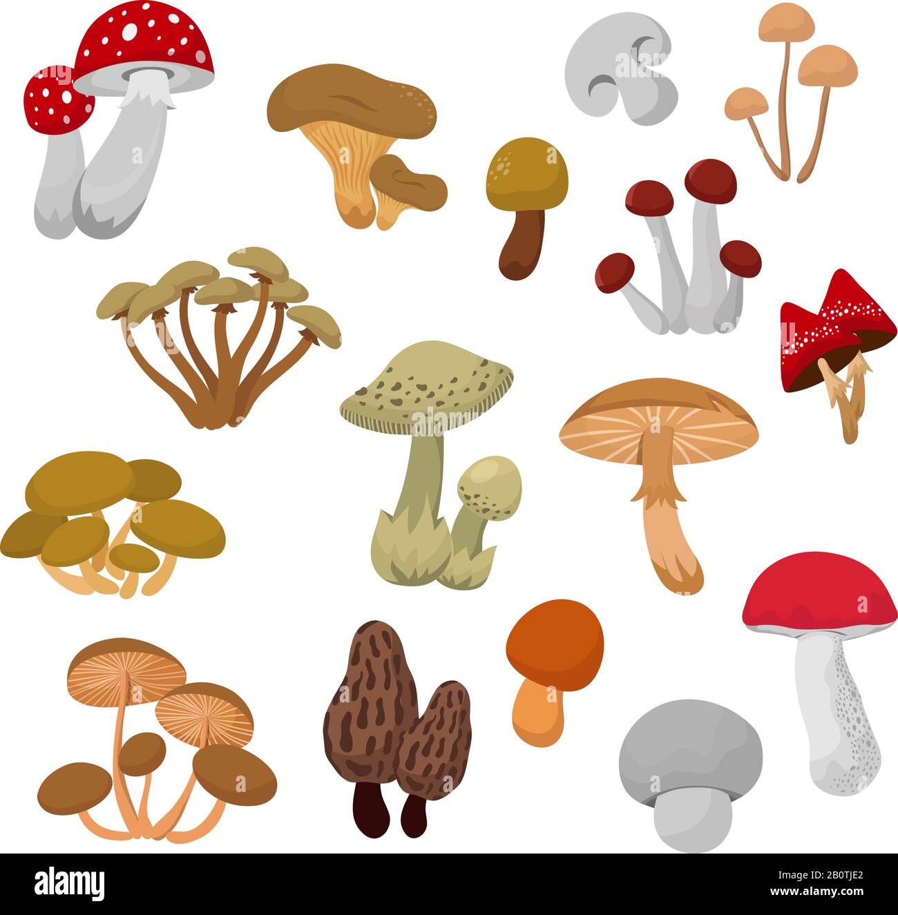 Funghi freschi d'autunno e toadstools cartone animato set vettore. Collezione di funghi organici, illustrazione vegetale di Boletus Illustrazione Vettoriale