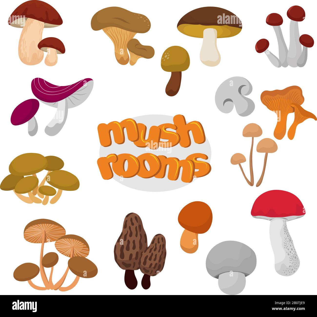 Foresta estate e autunno cartone animato funghi commestibili vettore set. Collezione di alimenti a fungo Illustrazione Vettoriale