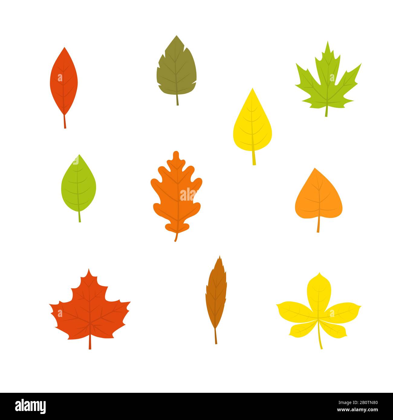 Set di icone vettoriali colorate foglie autunnali Illustrazione Vettoriale