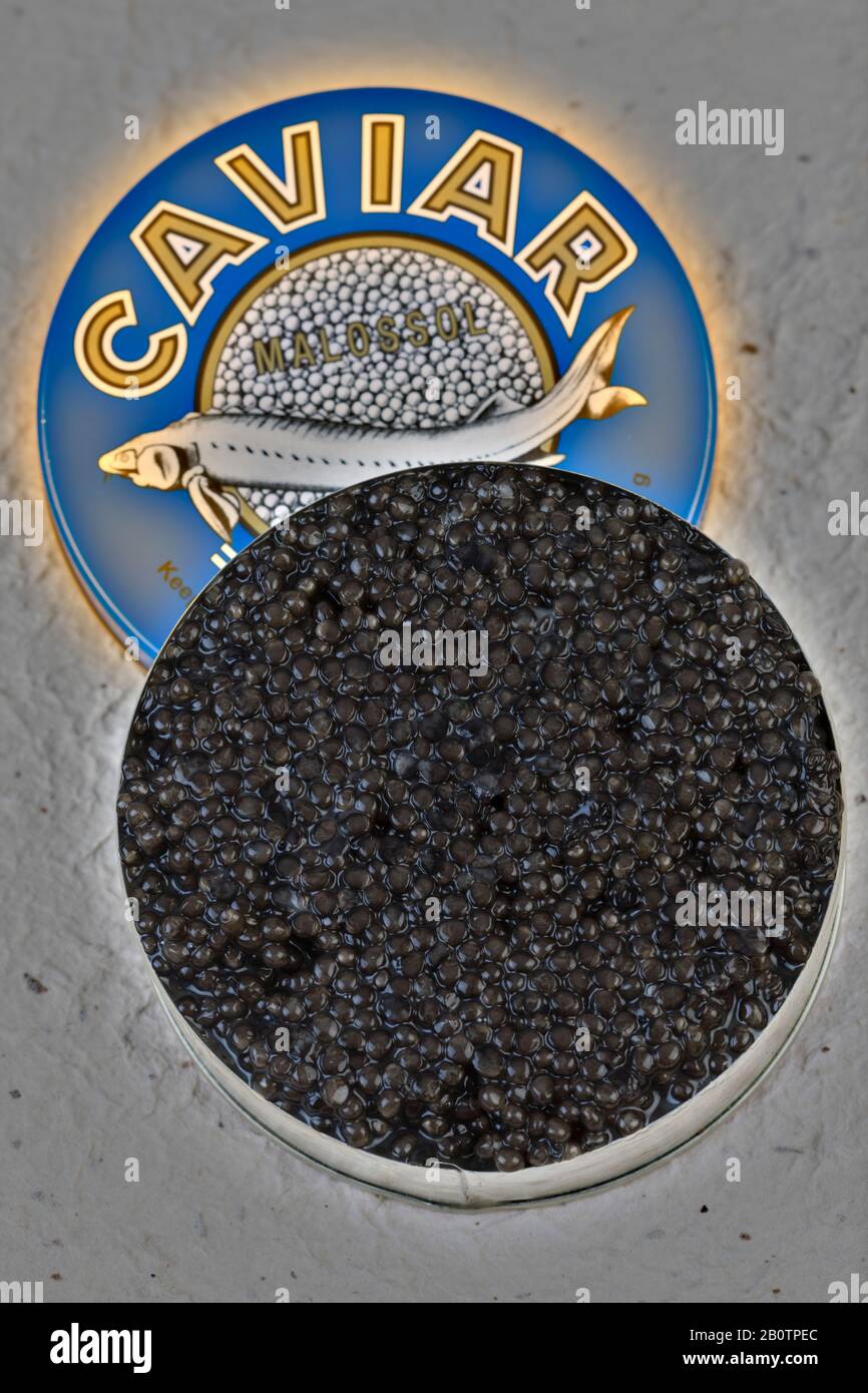 Il caviale, Storione uovo Foto Stock