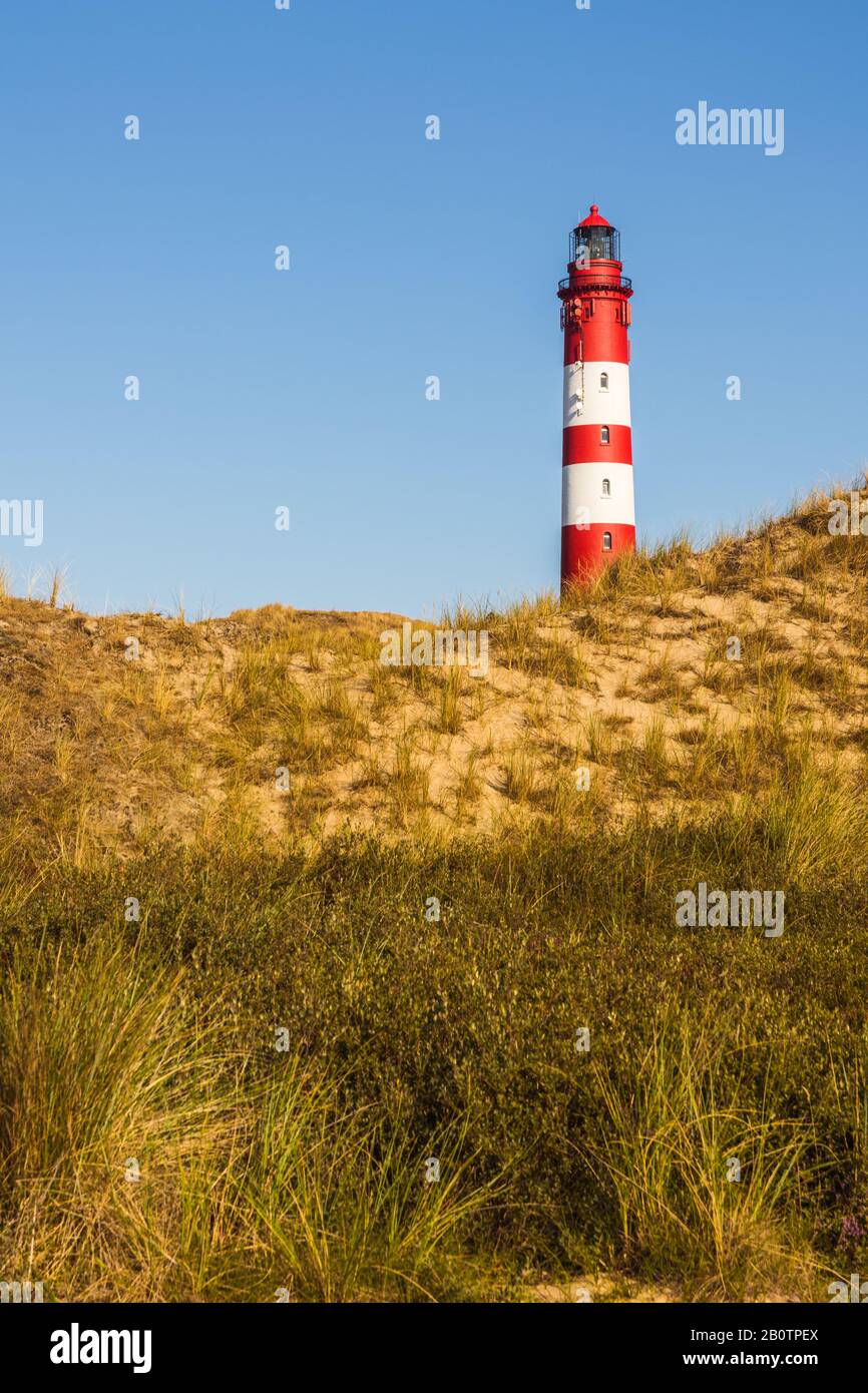 Faro di Amrum, Isole Frisone del Nord, Schleswig-Holstein, Germania Foto Stock