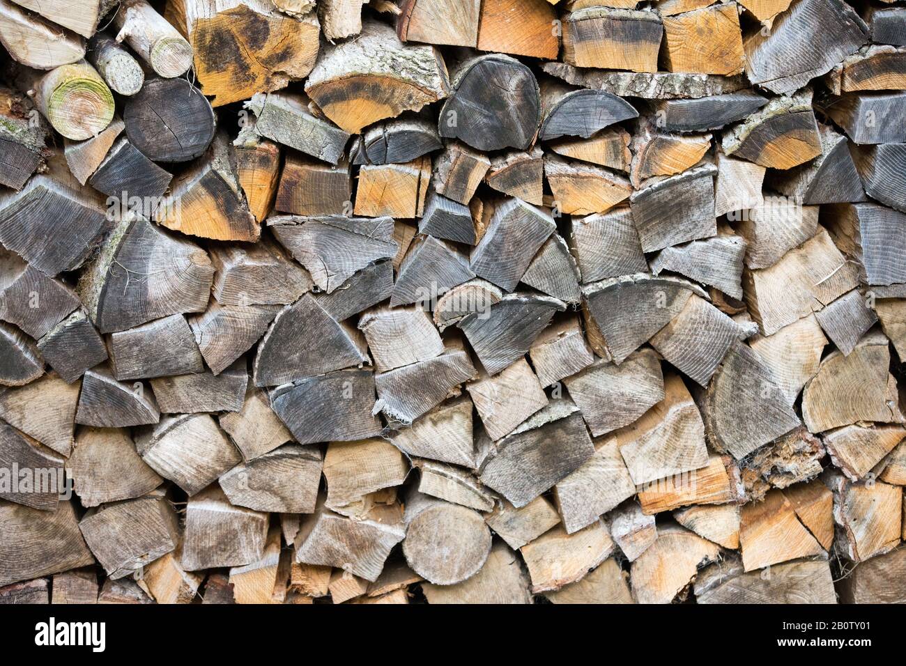 L'immagine mostra l'essiccazione del legno prima di essere messo su un fuoco. I proprietari di bruciatori di legno, stufe e fuochi aperti non potranno più comprare carbone o legno umido per bruciare in loro, sotto un divieto di essere rotolato fuori dall'anno prossimo. Le vendite dei due combustibili più inquinanti saranno gradualmente eliminate in Inghilterra per contribuire a ridurre l'inquinamento atmosferico, afferma il governo. Sacchetti di tronchi venduti in negozi fai da te, centri giardino e stazioni di servizio spesso contengono legno umido - un tipo di legno che produce più inquinamento e fumo. Il pubblico dovrebbe passare a "alternative più pulite", afferma il governo. Foto Stock