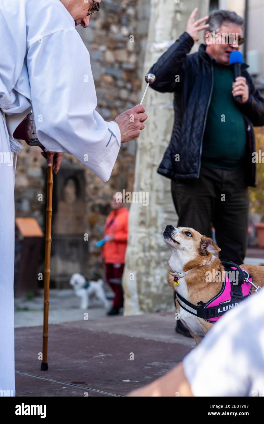 Celebrazione religiosa cattolica di San Antonio Abad, benedizione degli animali, Alella, Barcellona, Spagna, Europa. Foto Stock