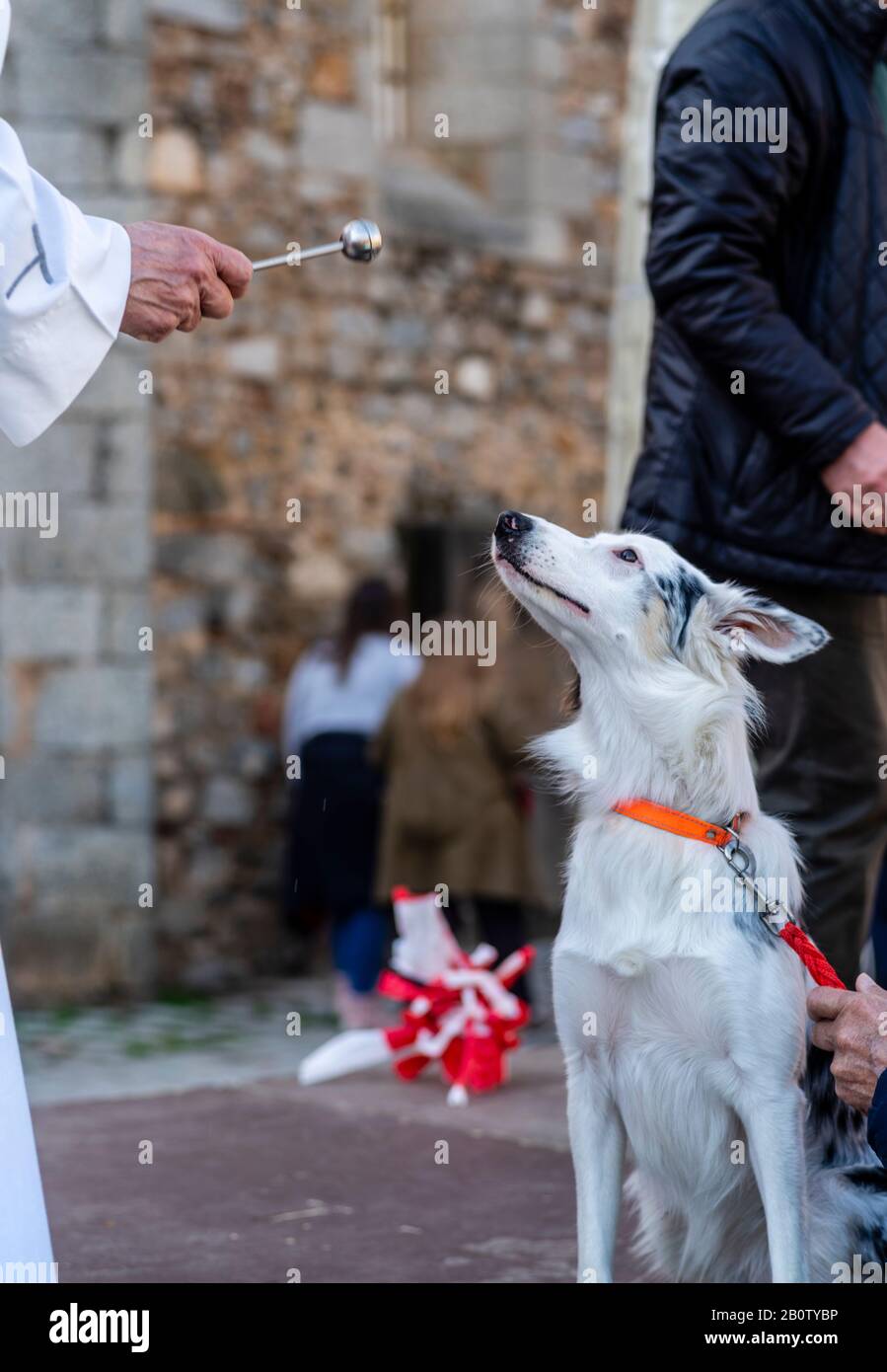 Celebrazione religiosa cattolica di San Antonio Abad, benedizione degli animali, Alella, Barcellona, Spagna, Europa. Foto Stock