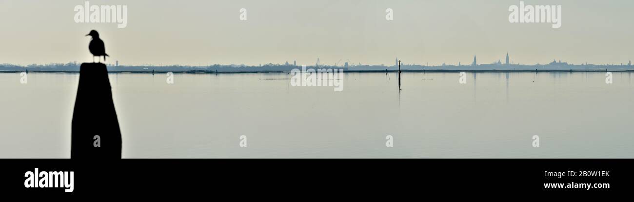 Skyline di Murano e gabbiano dal paesaggio di Burano (Venezia), Patrimonio dell'Umanità dell'UNESCO - Veneto, Italia, Europa Foto Stock