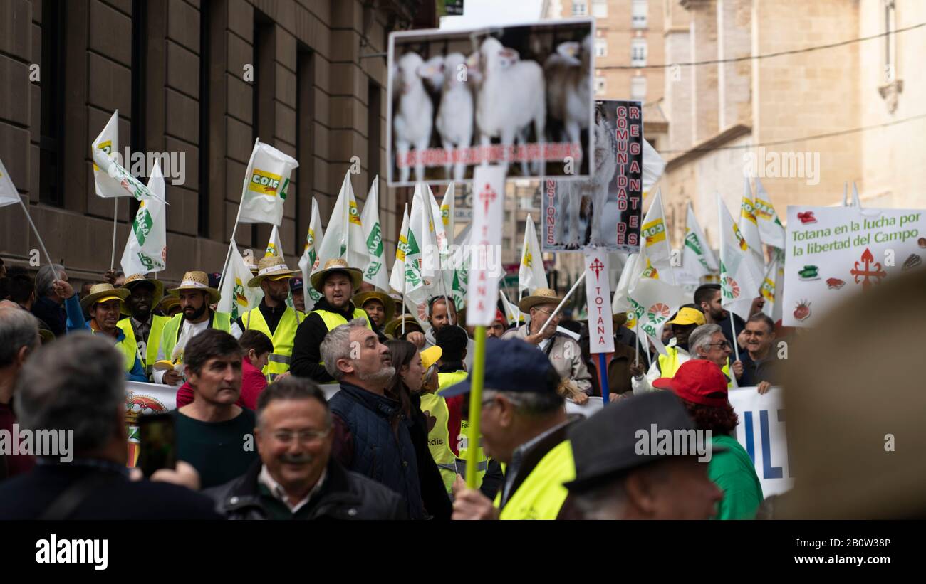 Una grande manifestazione di agricoltori crolla la città di Murcia, Spagna il 21 febbraio 2020. Lottano per un prezzo degno del loro lavoro. Foto Stock