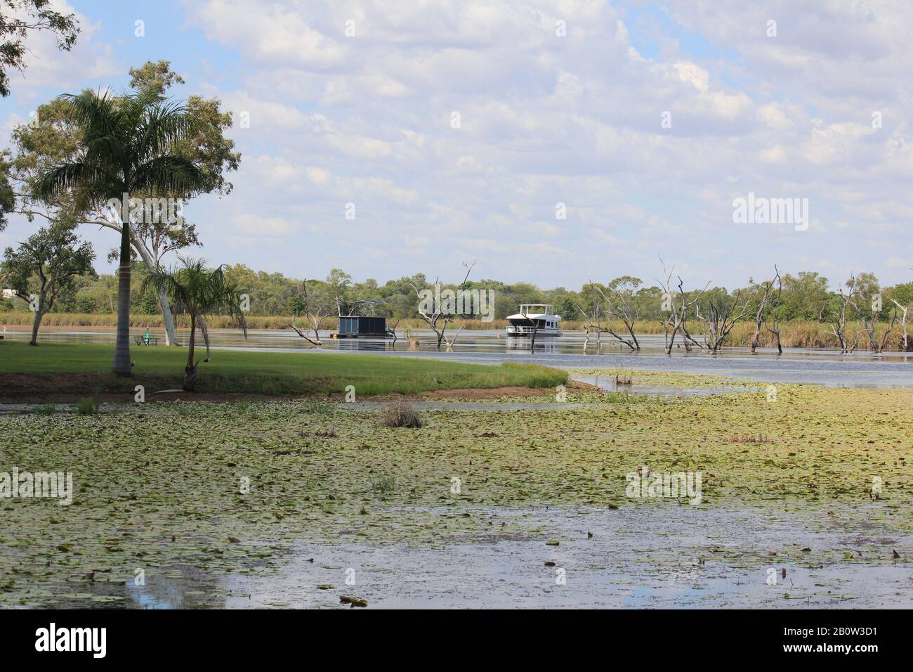 Kununurra Zone Umide Australia Occidentale Foto Stock