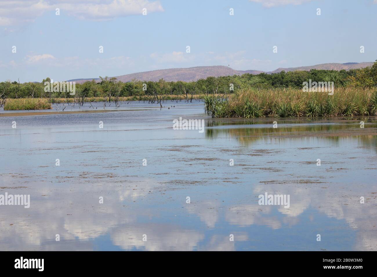 Kununurra Zone Umide Australia Occidentale Foto Stock