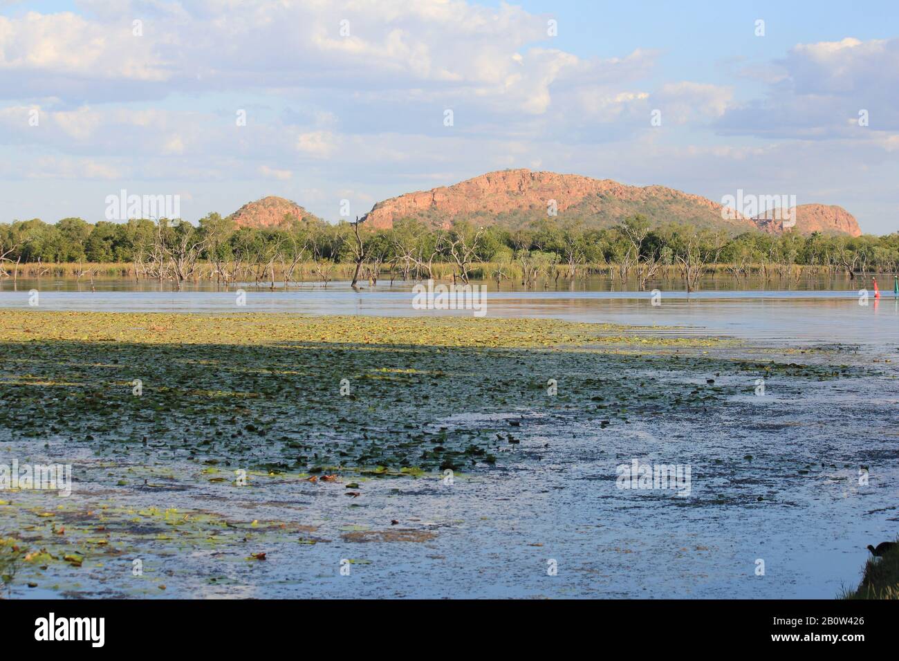Kununurra Zone Umide Australia Occidentale Foto Stock