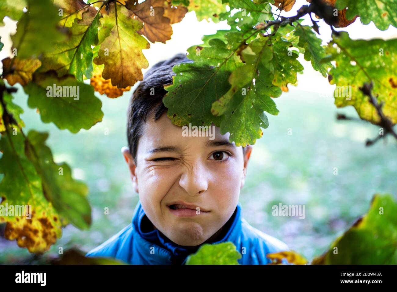 Testa e spalle ritratto di ragazzo guardando la fotocamera attraverso foglie di quercia, tirando un volto. Foto Stock