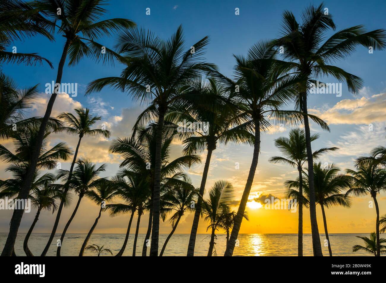 Spiaggia; Punta Cana; Repubblica Dominicana; Caraibi Foto Stock