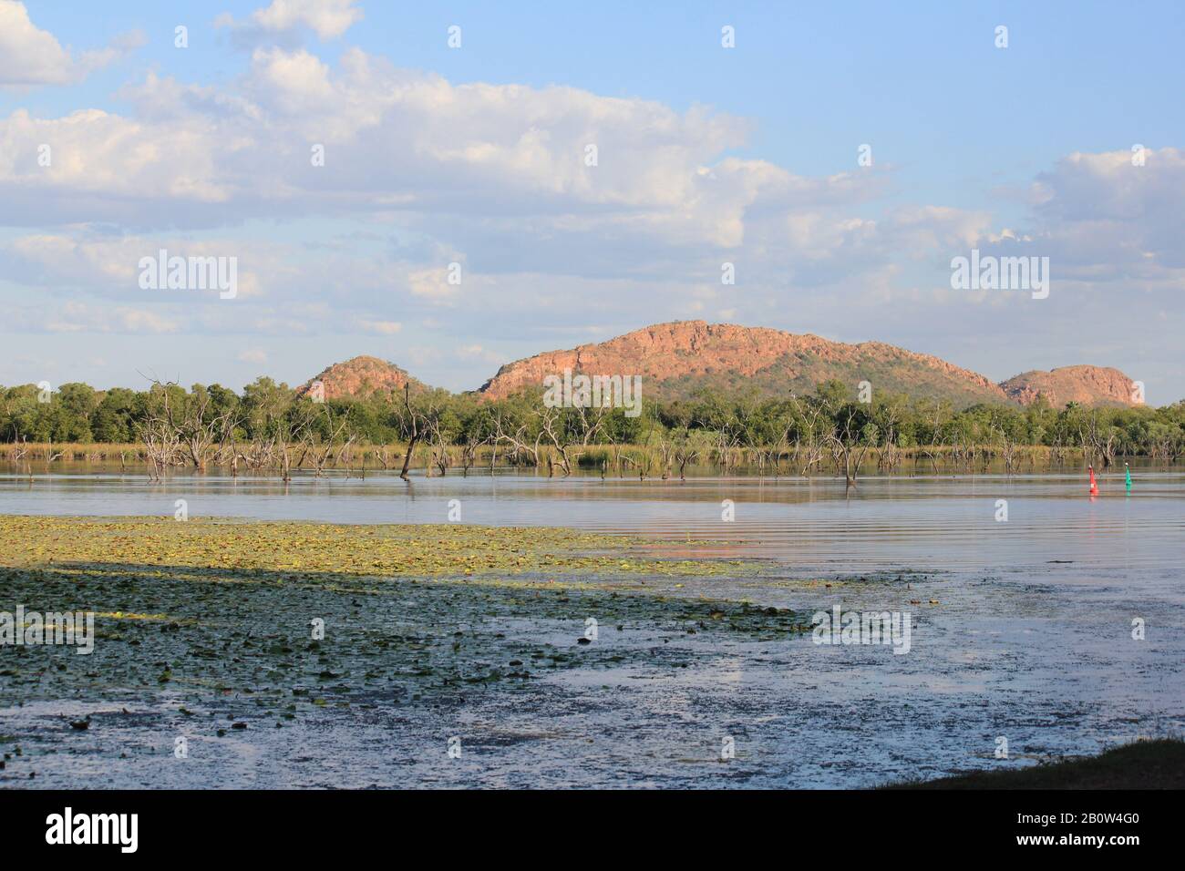 Kununurra Zone Umide Australia Occidentale Foto Stock