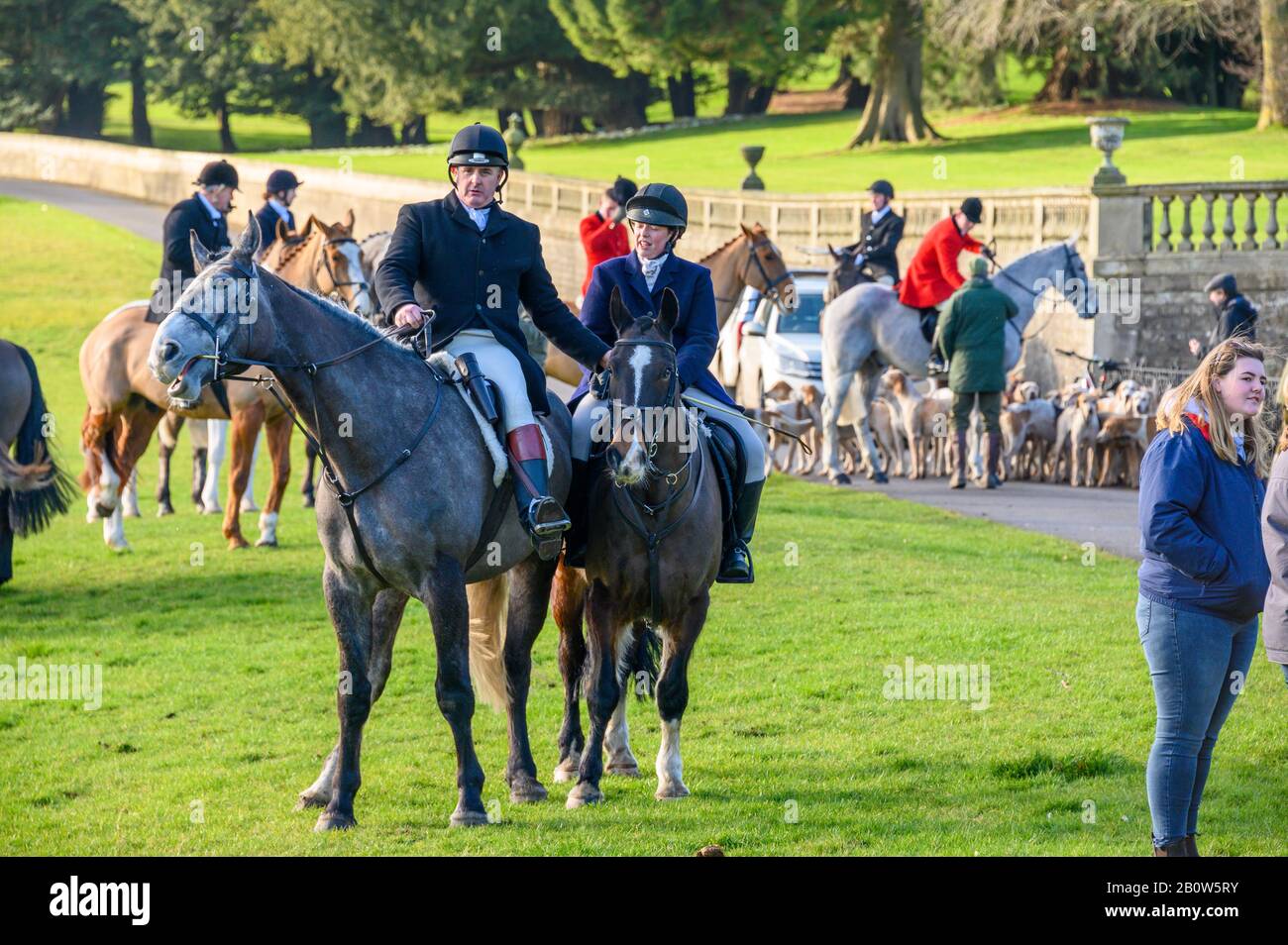 Aske Hall, Richmond, North Yorkshire, Regno Unito - 08 febbraio 2020: I cacciatori di volpe sedevano sui cavalli con un pacchetto di volpi inglesi e un muro di pietra tradizionale Foto Stock