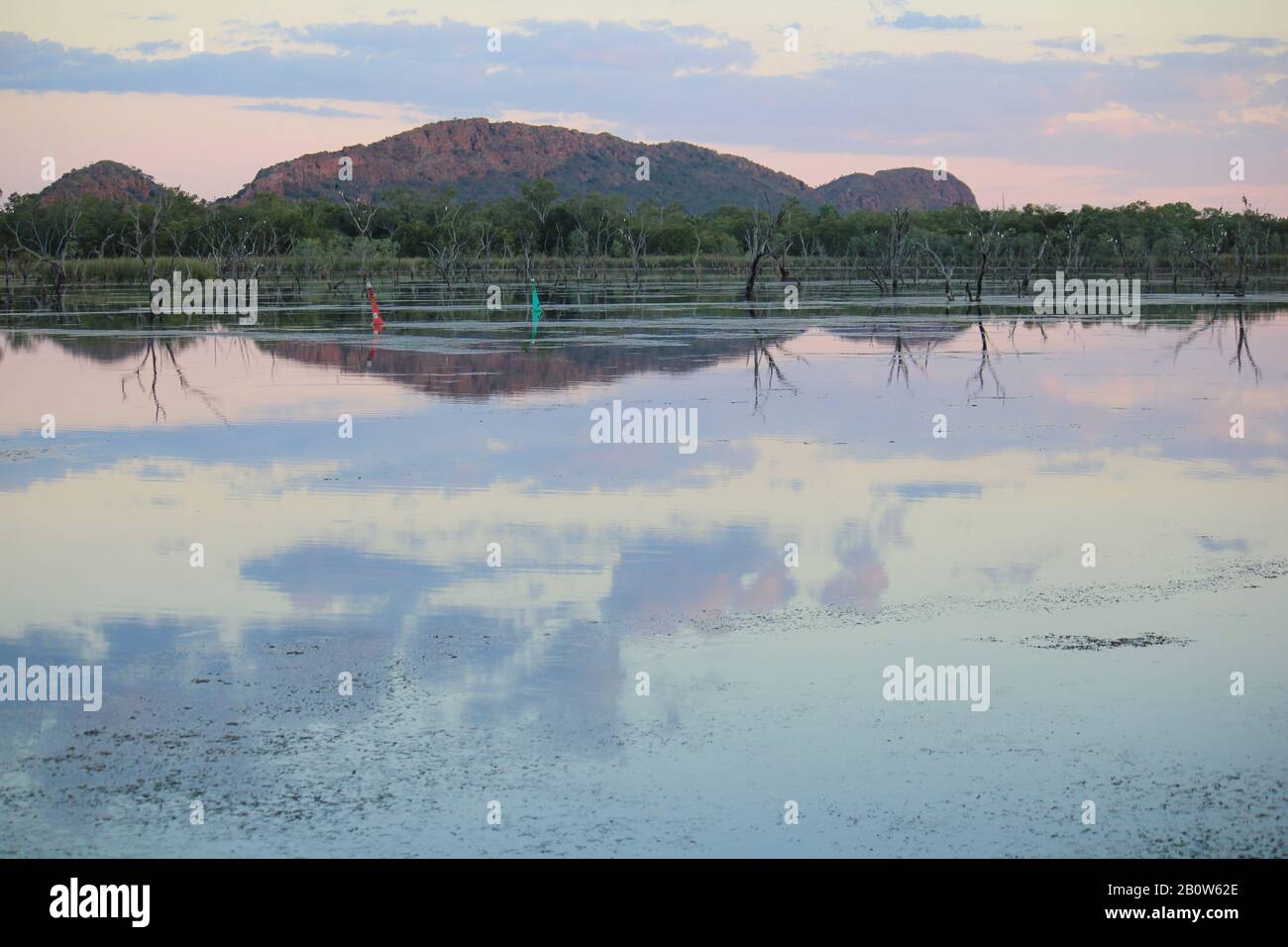 Kununurra Zone Umide Australia Occidentale Foto Stock