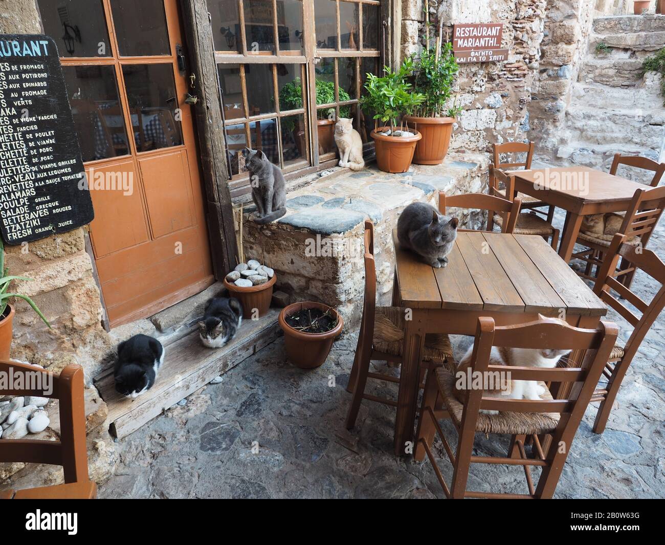 Gatti che riposano di fronte a un caffè chiuso nella città murata di Monemvasia, Laconia, Peloponneso, Grecia Foto Stock