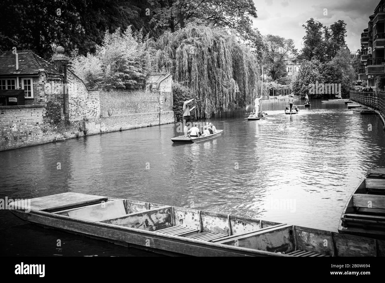 Punting sul fiume Cam Foto Stock