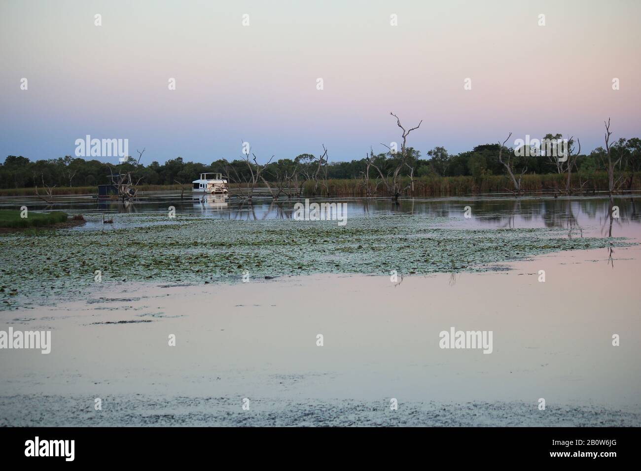 Kununurra Zone Umide Australia Occidentale Foto Stock