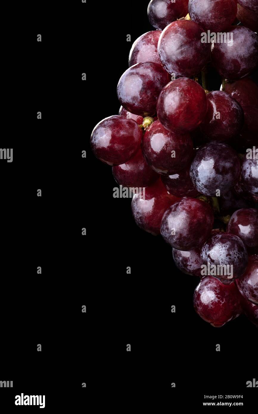 Fotografia di uve con sfondo nero Foto Stock