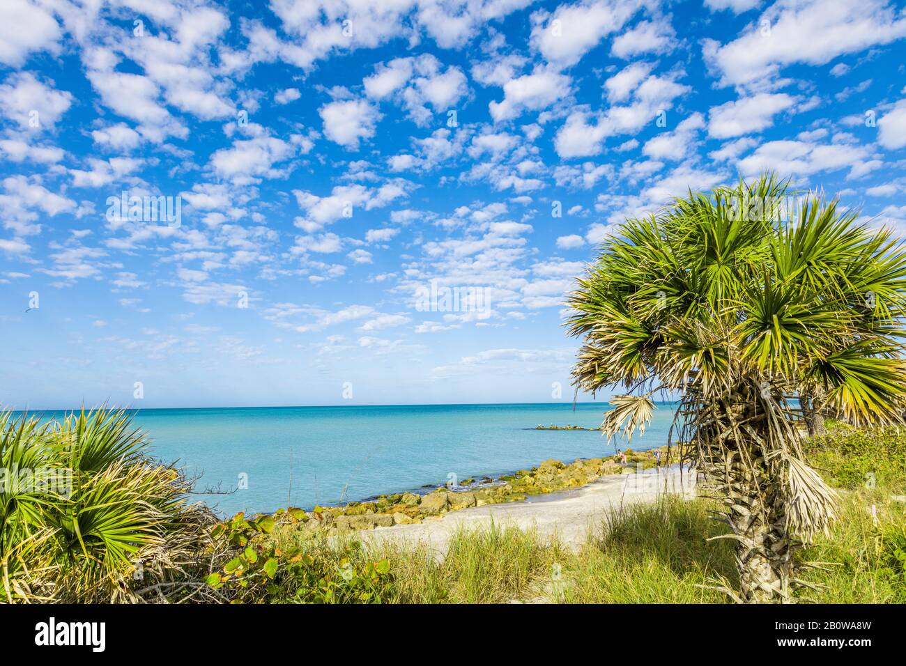 Golfo del Messico da Caspersen Beach a Venezia Florida con cielo blu con nuvole bianche puffy Foto Stock