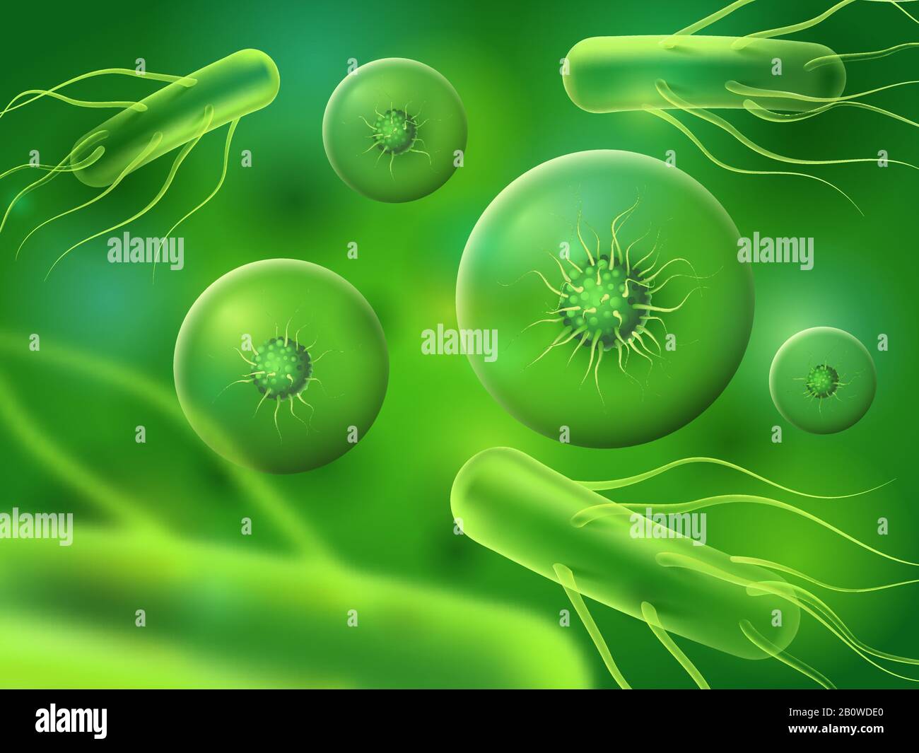 Batteri e cellule realistici. Biologia microscopica verde o microrganismi naturali. Vettore astratto di fondo di cellule biologiche Illustrazione Vettoriale