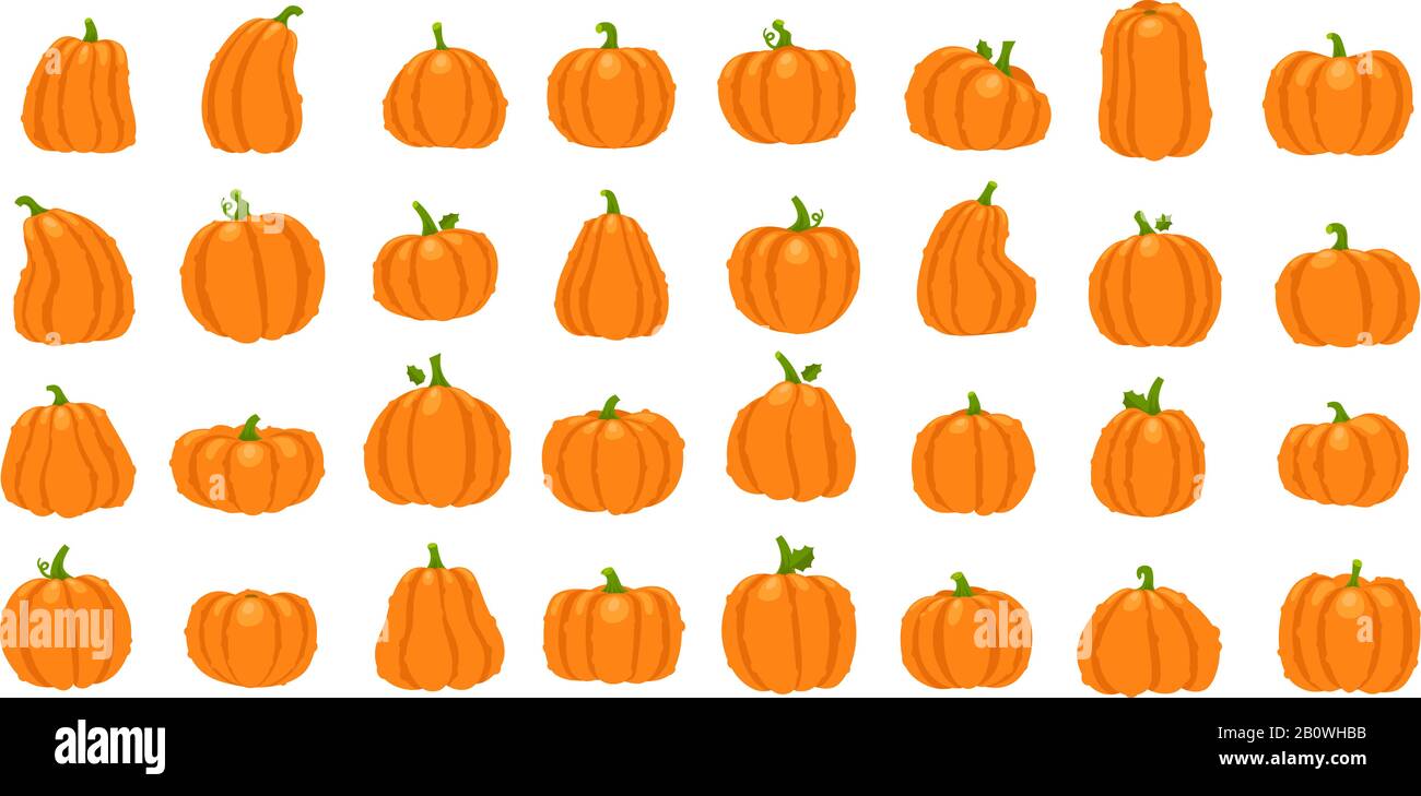 Zucca arancione cartone animato. Halloween ottobre vacanza zucche decorative. Gourd giallo, sano zucca vettore di illustrazione Illustrazione Vettoriale