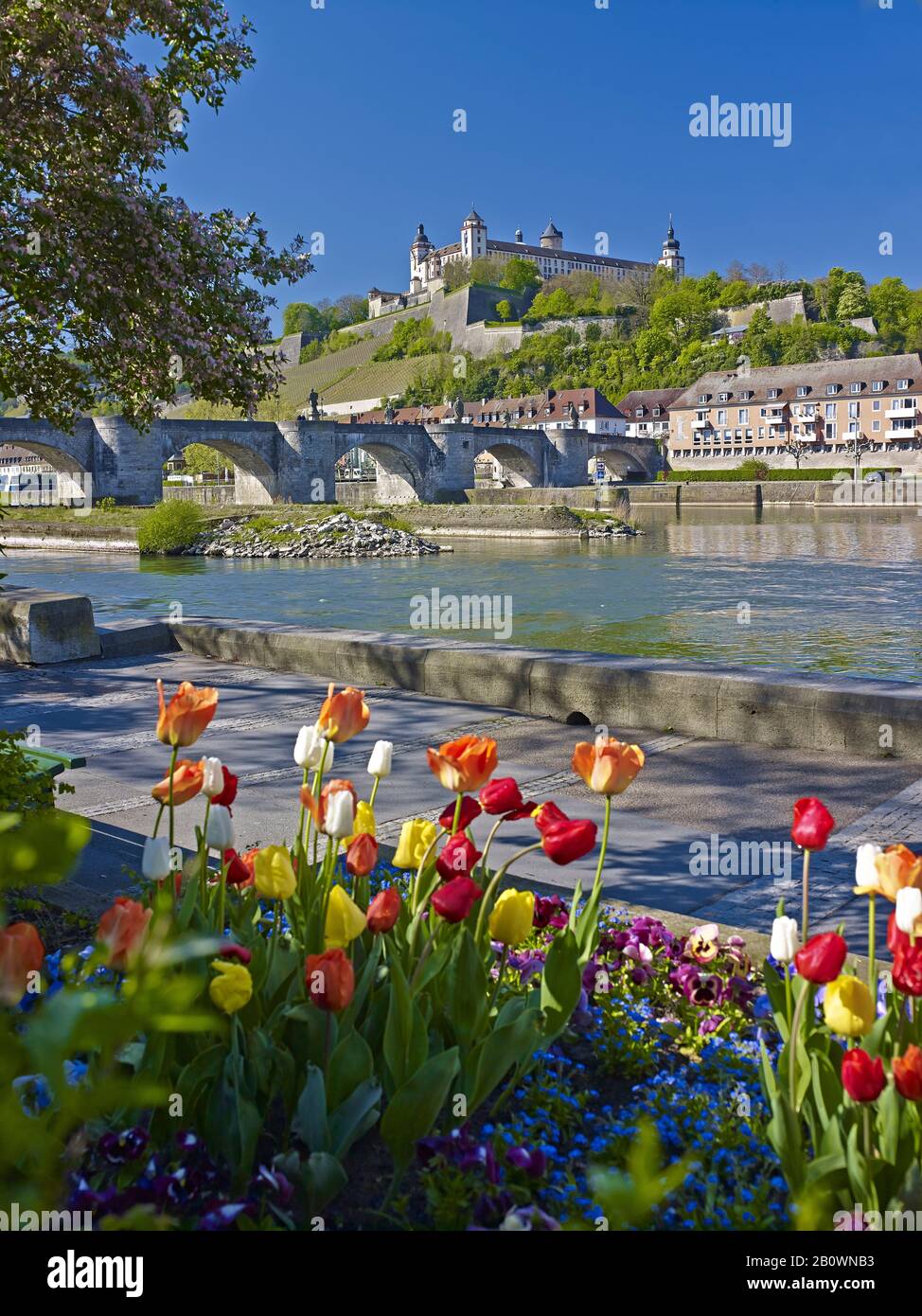 Vecchio Ponte Principale Con La Fortezza Di Marienberg A Würzburg, Bassa Franconia, Baviera, Germania, Europa Foto Stock