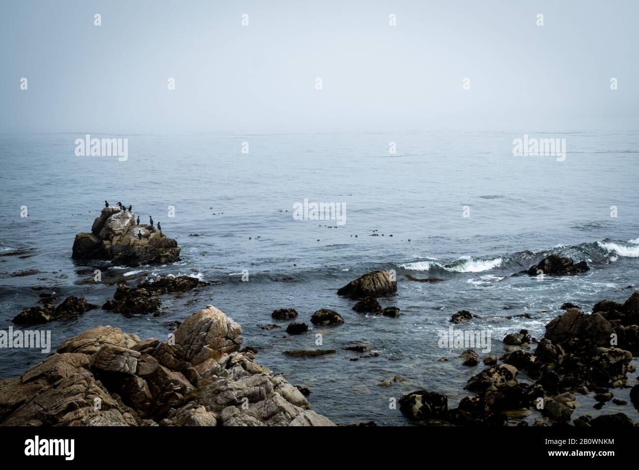 Vista dell'oceano pacifico nel bosco del Pacifico Foto Stock