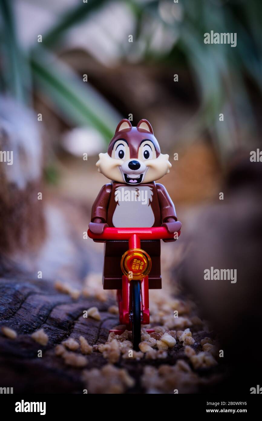 Chipmunks Foto Stock