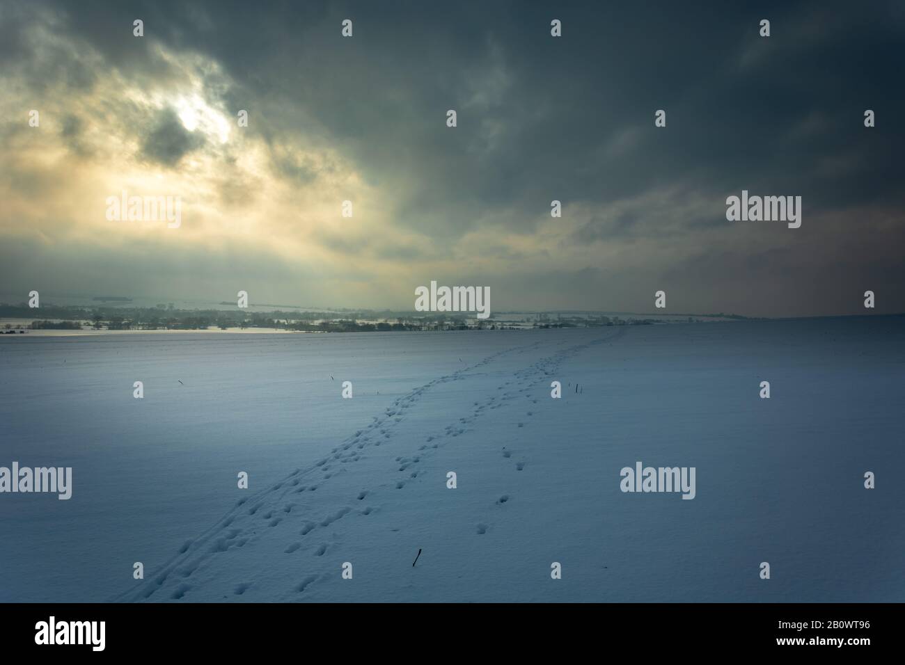 Tracce di animali sul campo innevato, orizzonte e nuvole scure sul cielo Foto Stock
