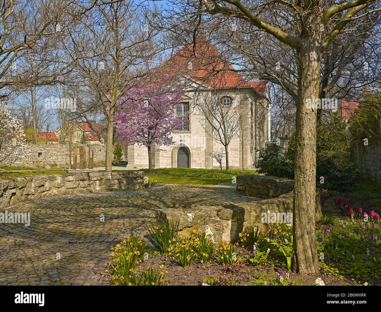 Arboreto Con Chiesa Della Trinità A Bad Langensalzza, Turingia, Germania, Europa Foto Stock