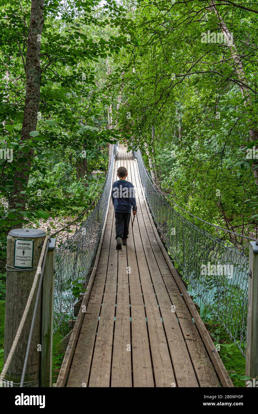 Ragazzo sul ponte sospeso. Parco Nazionale Junkerdal, Røkland Foto Stock